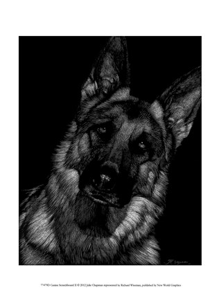 Framed Canine Scratchboard II Print