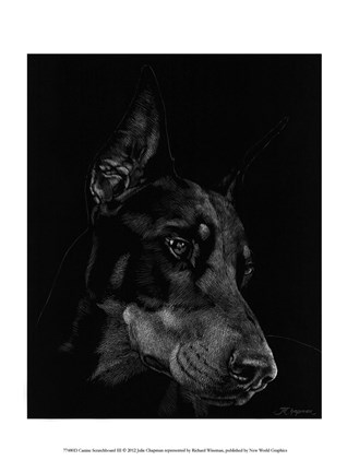 Framed Canine Scratchboard III Print