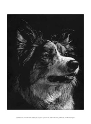 Framed Canine Scratchboard IV Print