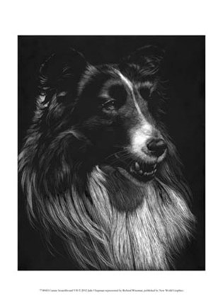 Framed Canine Scratchboard VII Print