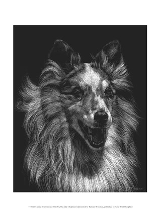Framed Canine Scratchboard VIII Print