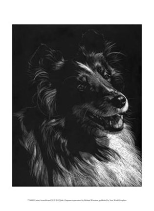 Framed Canine Scratchboard XI Print