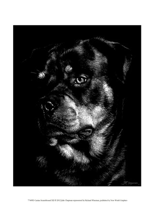 Framed Canine Scratchboard XII Print