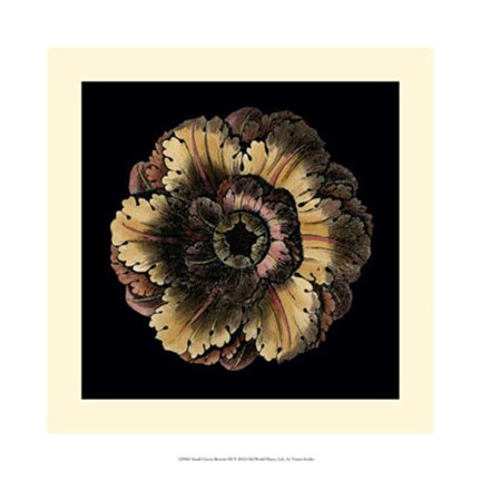 Framed Small Classic Rosette III Print