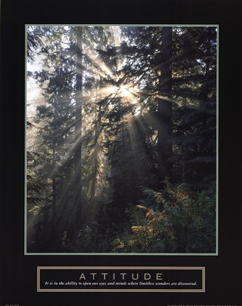 Framed Attitude - Forest Light Print