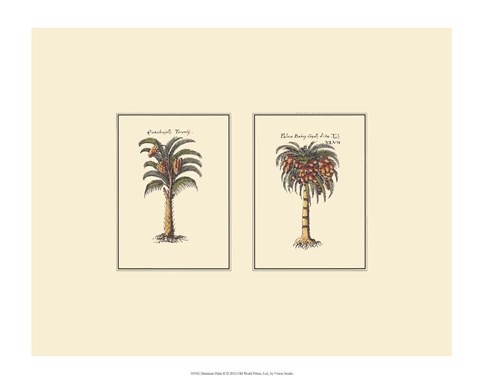 Framed Miniature Palm II Print