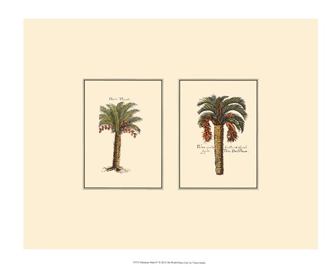 Framed Miniature Palm IV Print