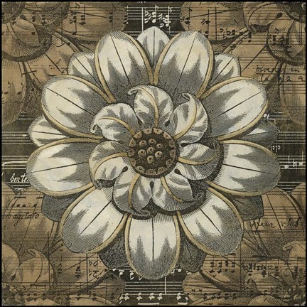 Framed Rosette Detail IV Print