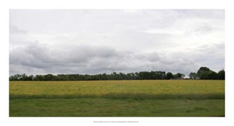 Framed Calm Before The Storm II Print