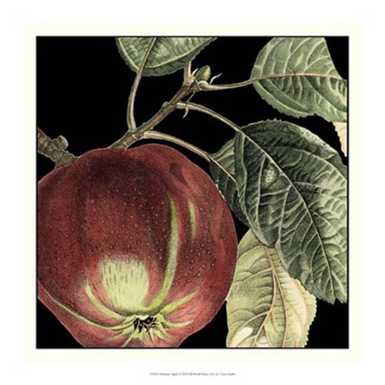 Framed Dramatic Apple Print