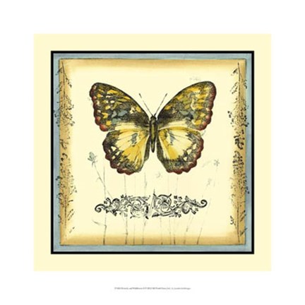 Framed Butterfly and Wildflowers II Print