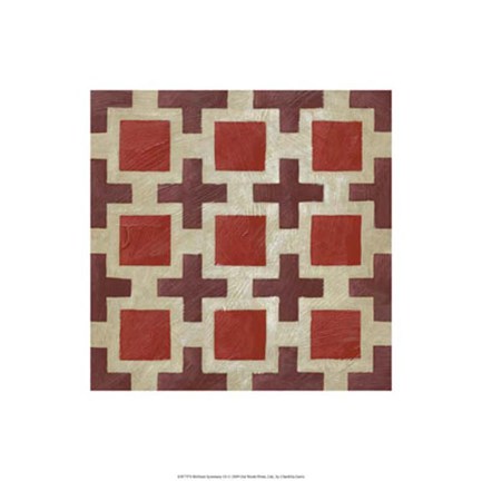 Framed Brilliant Symmetry IX Print