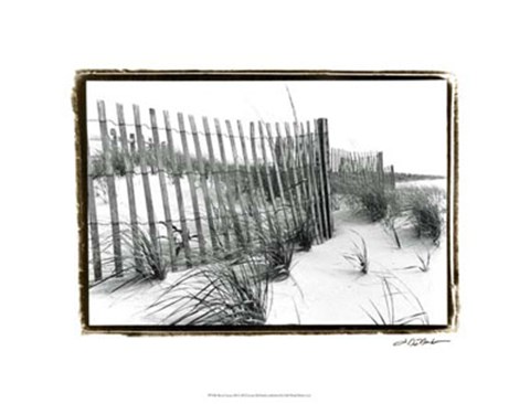 Framed Beach Scape III Print