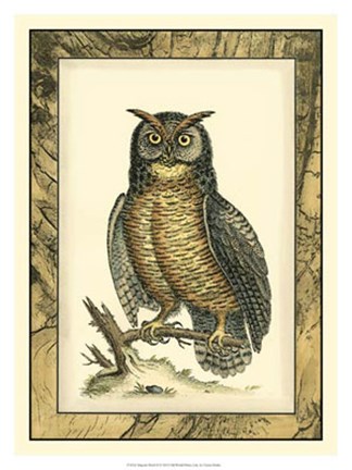 Framed Majestic Perch II Print