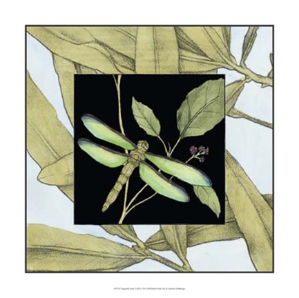 Framed Dragonfly Inset V Print