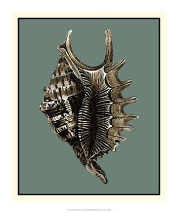 Framed Ocean&#39;s Treasure V Print