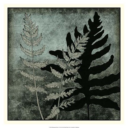 Framed Illuminated Ferns I Print