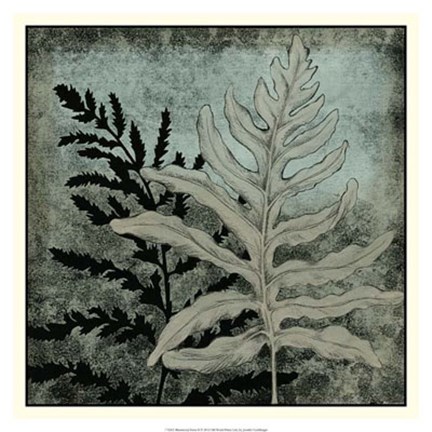 Framed Illuminated Ferns II Print