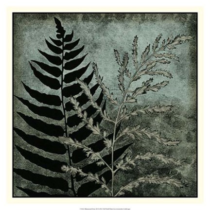 Framed Illuminated Ferns III Print