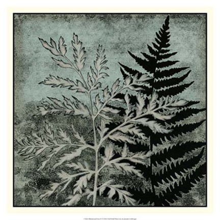 Framed Illuminated Ferns IV Print