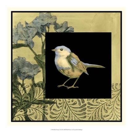Framed Bird Fantasy II Print