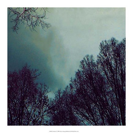 Framed Nocturne I Print