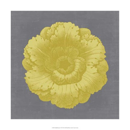 Framed Gilded Rosette VI Print