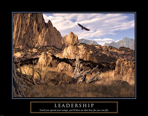 Framed Leadership-Eagle Print