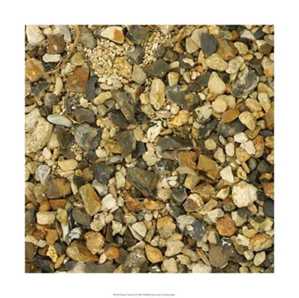 Framed Nature&#39;s Textures II Print