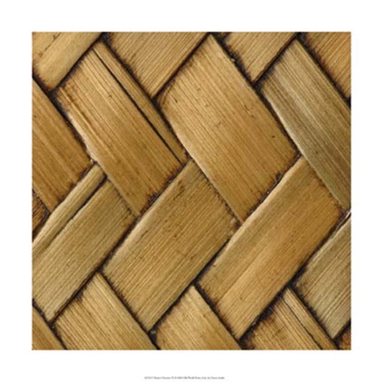 Framed Nature&#39;s Textures VI Print