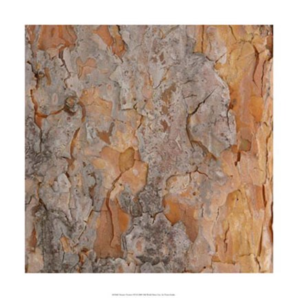 Framed Nature&#39;s Textures VII Print