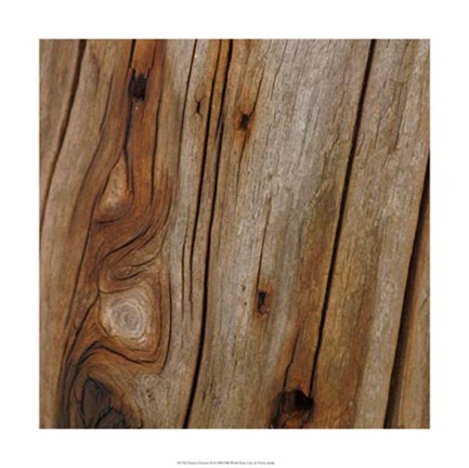 Framed Nature&#39;s Textures IX Print