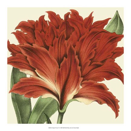 Framed Tropical Vision V Print