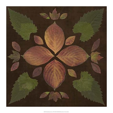 Framed Kaleidoscope Leaves III Print