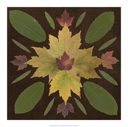 Framed Kaleidoscope Leaves IV Print