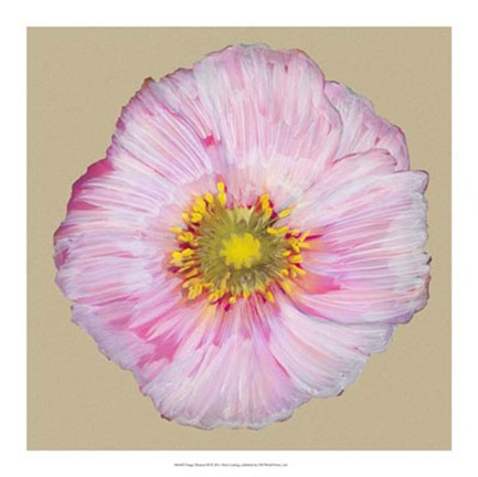 Framed Poppy Blossom III Print