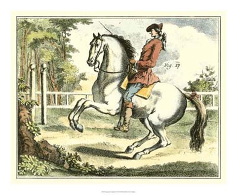 Framed Equestrian Training II Print