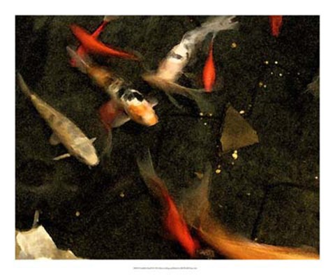 Framed Goldfish Pond II Print