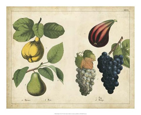 Framed Kitchen Fruits IV Print