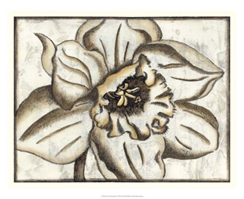 Framed Fresco Flowerhead V Print