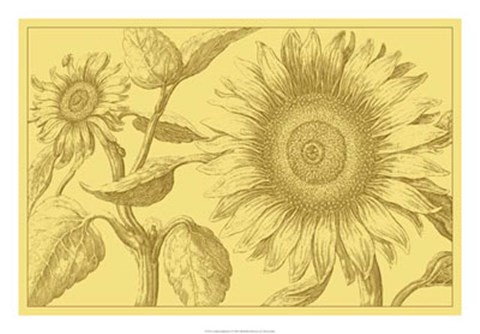 Framed Golden Sunflowers I Print