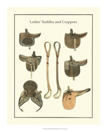 Framed Ladies Saddles Print