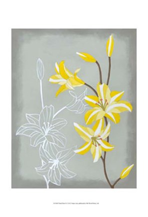 Framed Floral Echo II Print