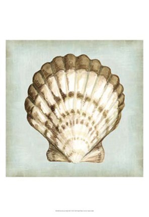 Framed Sea Dream Shells III Print