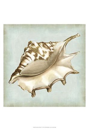 Framed Sea Dream Shells IV Print