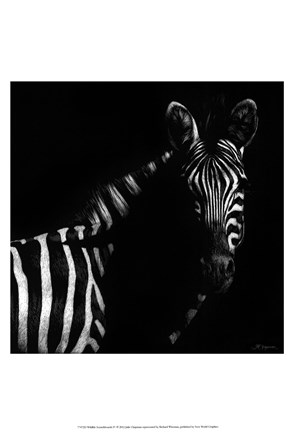 Framed Wildlife Scratchboards IV Print