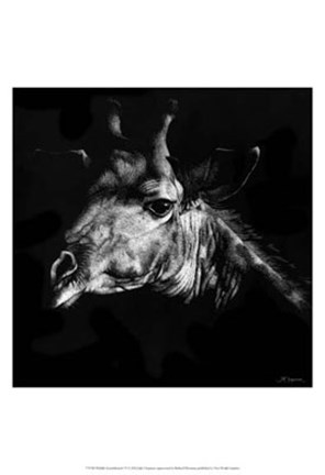 Framed Wildlife Scratchboards VI Print