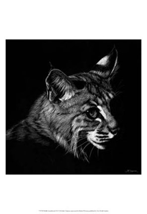 Framed Wildlife Scratchboards IX Print