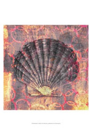 Framed Seashell-Scallop Print