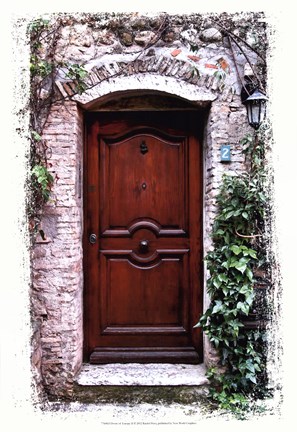 Framed Doors of Europe II Print